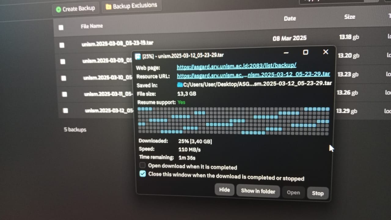 backup-12-maret-2025